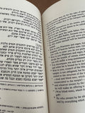 The Hebrew Gospel of Matthew by George Howard